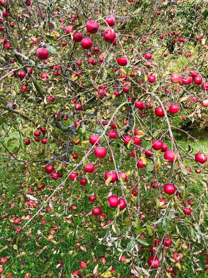 Lubin  Apple Tree House 빌라 외부 사진