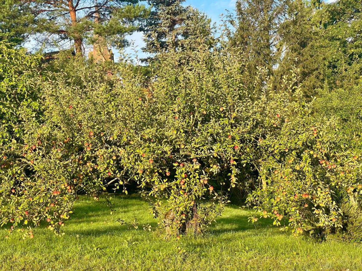 Lubin  Apple Tree House 빌라 외부 사진